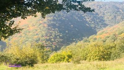 روستای مازیان در شهرستان رودبار گیلان، در دهستان رستم‌آباد شمالی قرار دارد. طبیعت جنگلی، مسیر جذاب، آرامش و دشت‌های زیبا، این روستا را به مقصدی بکر و دیدنی تبدیل کرده است.  
