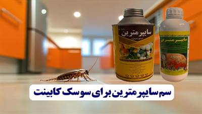سم سایپرمترین برای سوسک کابینت
