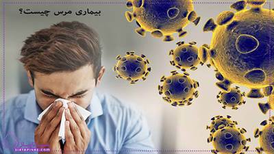 بیماری مرس چیست؟ | علائم ، پیشگیری و درمان