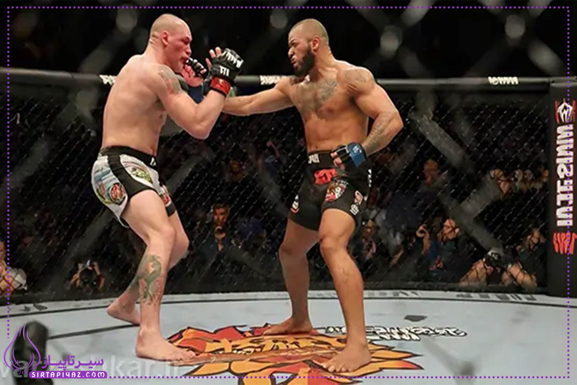 ۱۰ مبارزه برتر و مورد انتظار UFC و بوکس در سال ۲۰۲۵ ۱۰ مبارزه برتر و مورد انتظار UFC و بوکس در سال ۲۰۲۵