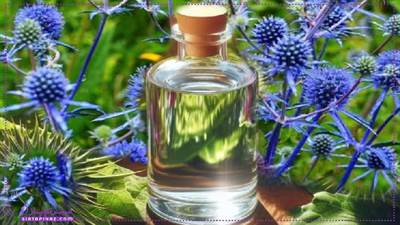 عرق بوقناق: معجزه طبیعی برای درمان دیابت و کبد چرب