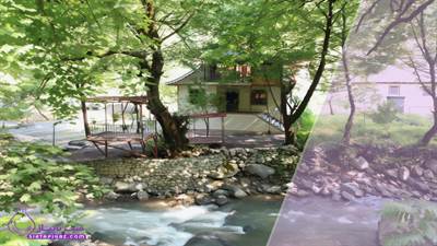 زندگی در ویلاهای جنگلی اسالم؛ تجربه‌ای متفاوت