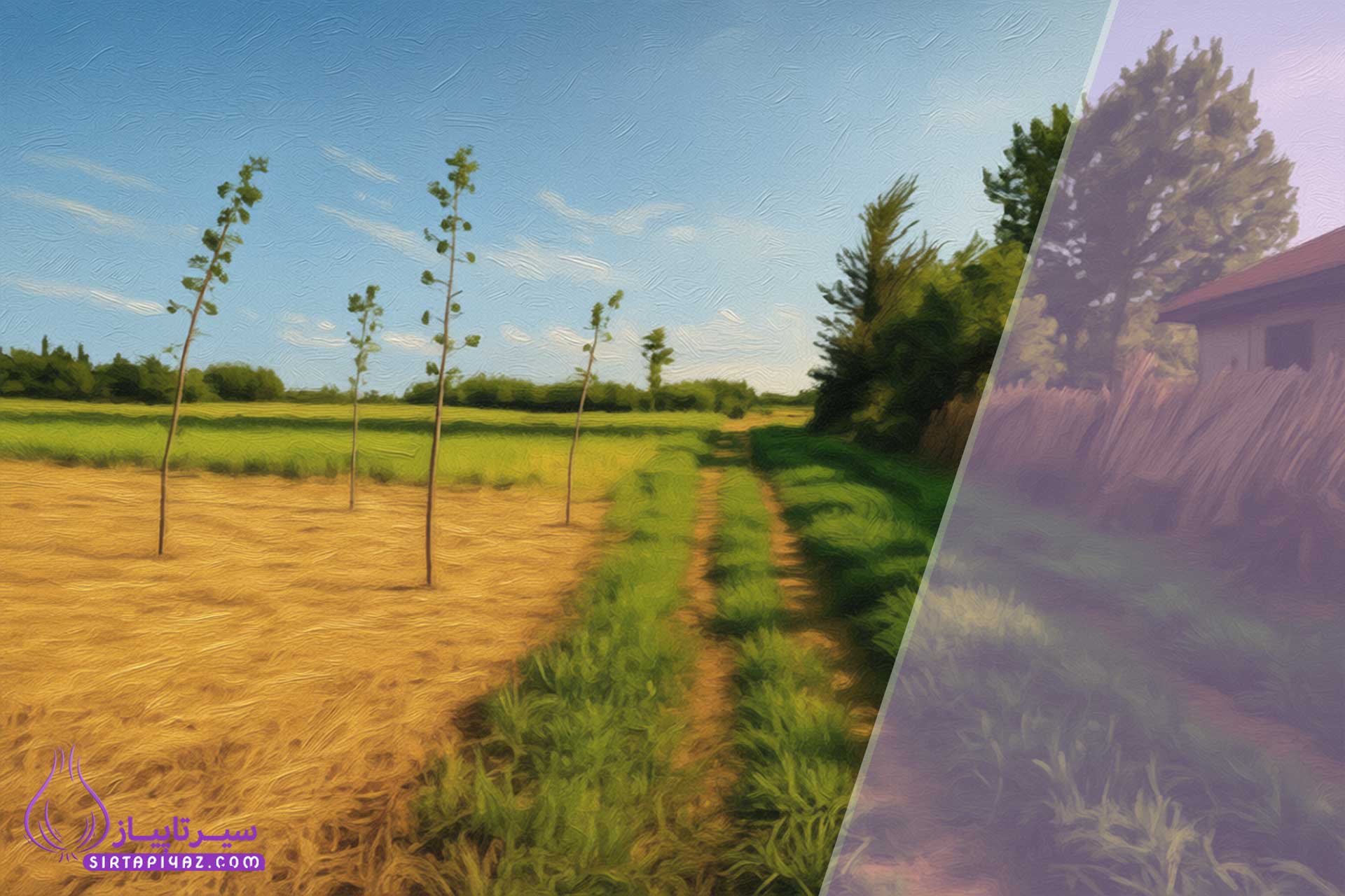 قیمت زمین در کوچصفهان چقدر است؟ قیمت زمین در کوچصفهان چقدر است؟