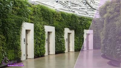 تاثیر طراحی باغچه های عمودی بر زیبایی نمای خانه