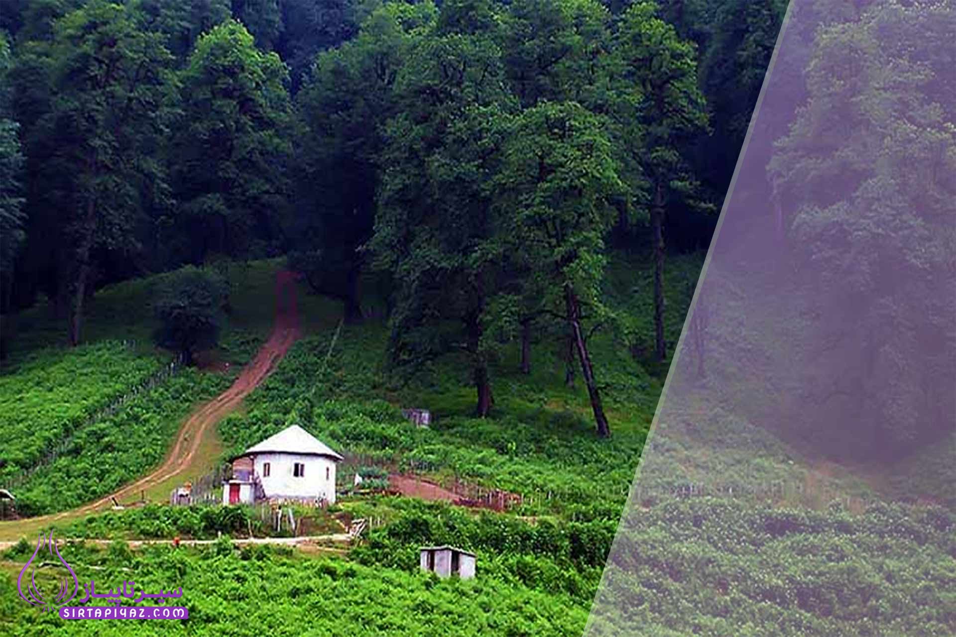 راهنمای یافتن محله های دنج و سرسبز برای زندگی آرام