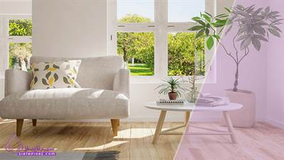 کاربرد گیاهان طبیعی در فضاهای داخلی برای هوای تازه 