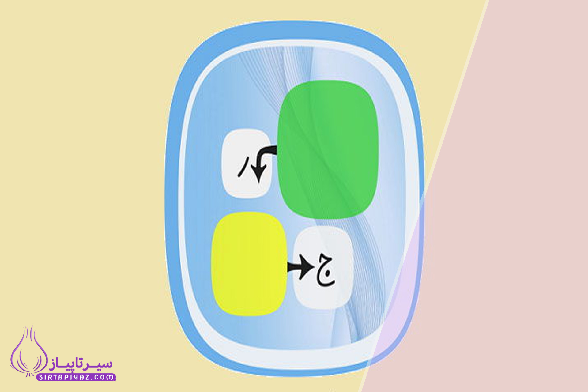 بازیگر زن هالیوود در جدولانه