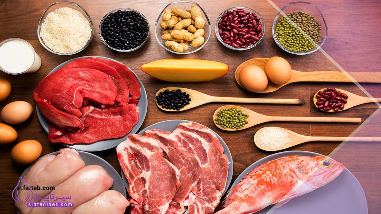بهترین غذاهای پروتئینی برای لاغری، بدنسازی و بعد از باشگاه