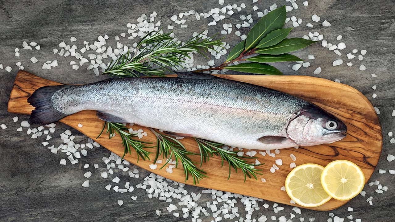 خاصیت ماهی غزل آلا برای سلامتی انسان