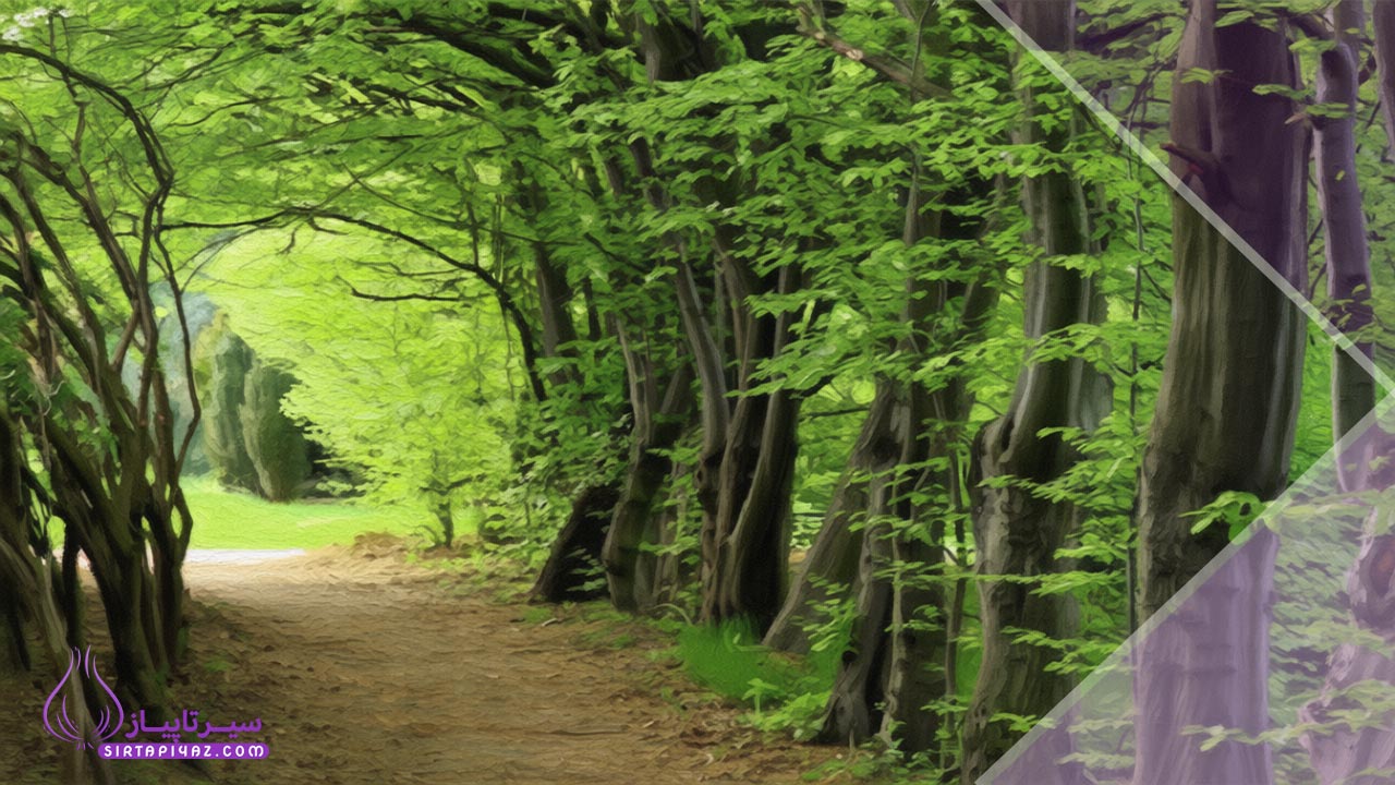 آیا خرید زمین در اسالم سودآور است؟