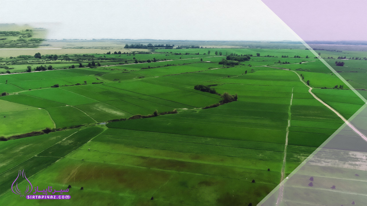 ۵ نکته مهم در خرید زمین کشاورزی در کوچصفهان