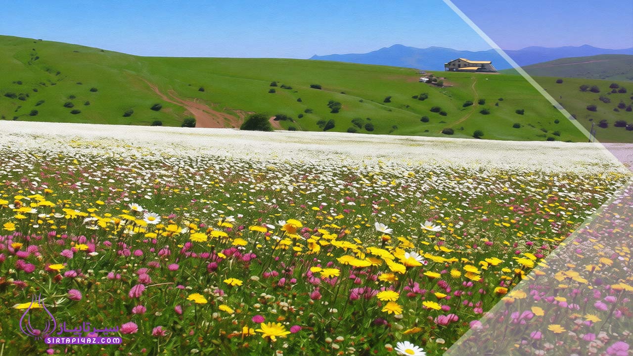 آینده گردشگری و سرمایه‌گذاری ملکی در اسالم