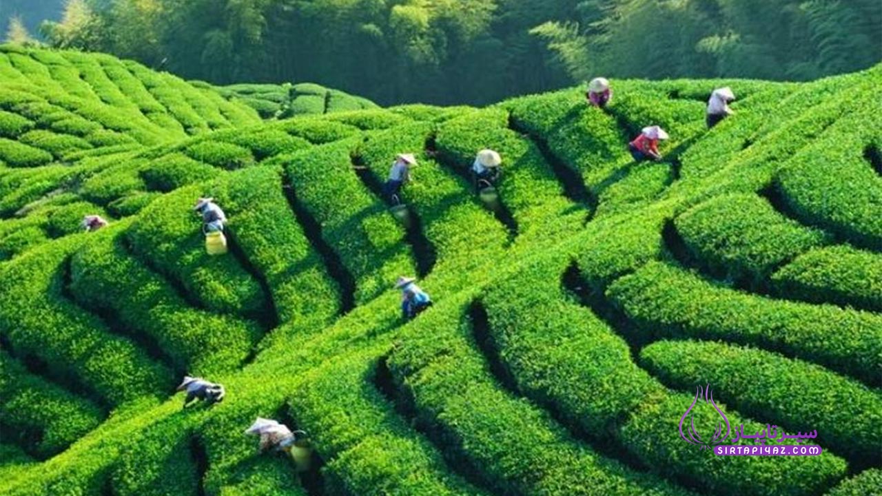 راهنمای خرید ملک در لاهیجان : معرفی بهترین محله ها