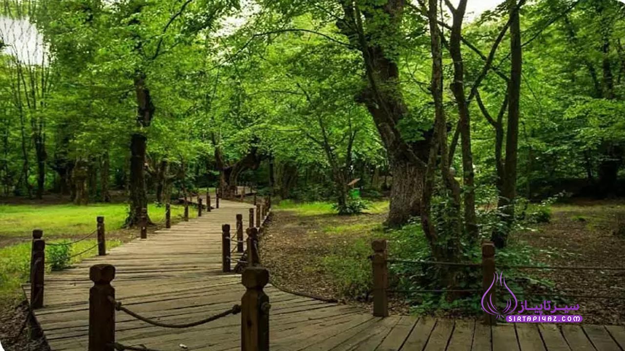 گنجینه‌های پنهان طبیعت ایران برای طبیعت‌گردی