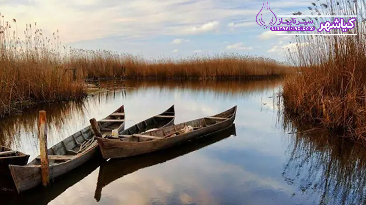 خرید ملک در کیاشهر؛ ترکیبی از ساحل و دسترسی آسان