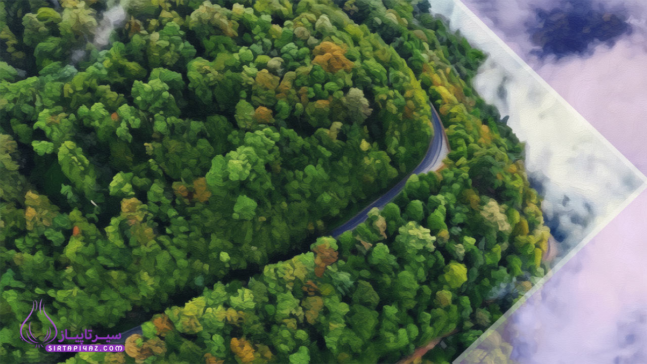 دلایل محبوبیت اسالم میان خریداران تهرانی