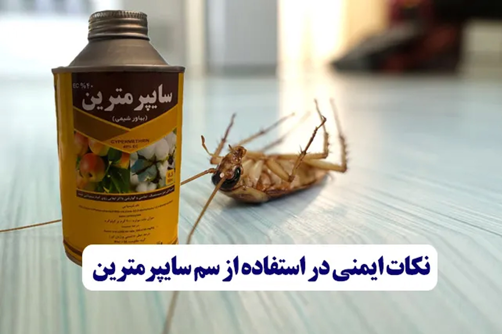 سم سایپرمترین برای سوسک کابینت