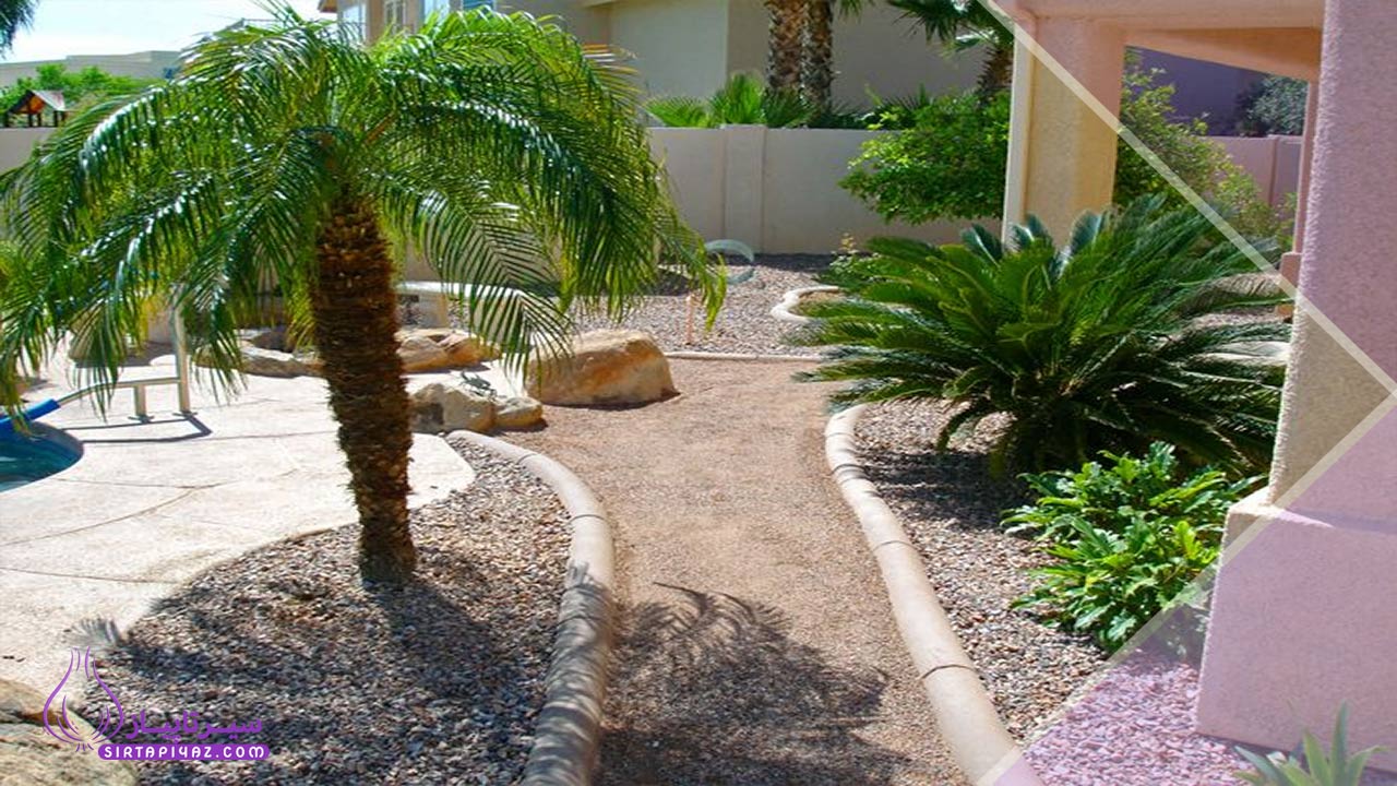 استفاده از گیاهان مقاوم به خشکی در دکوراسیون فضای باز