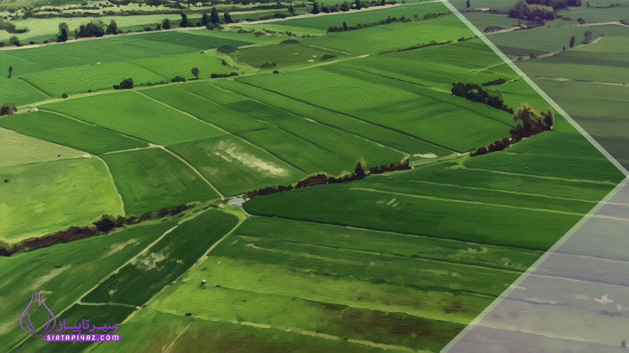 بررسی قیمت زمین در کوچصفهان رشت