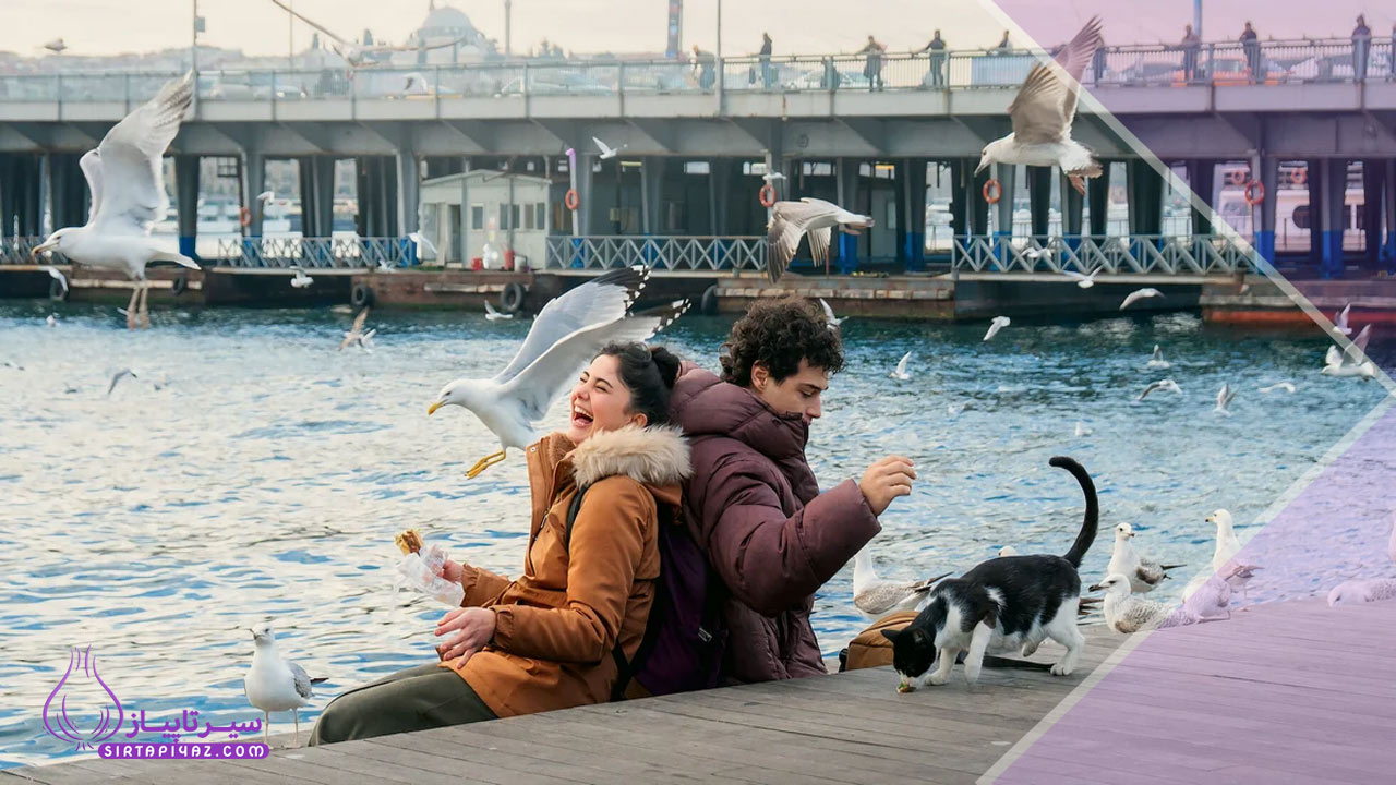 سریال دایره المعارف استانبول | بازیگران ، داستان و تعداد قسمت