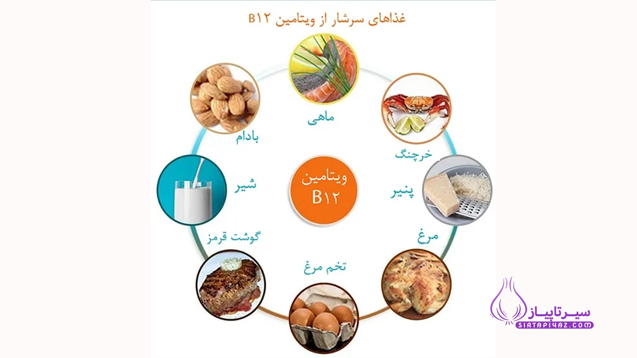غداهای سرشار از,ویتامین  B12